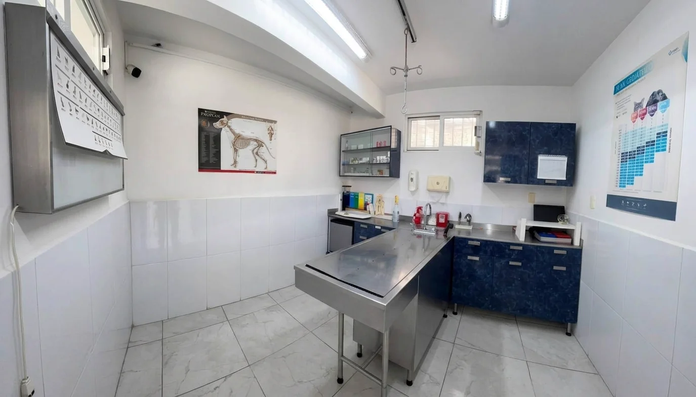 Hospital Veterinario Águilas — Consultorio
