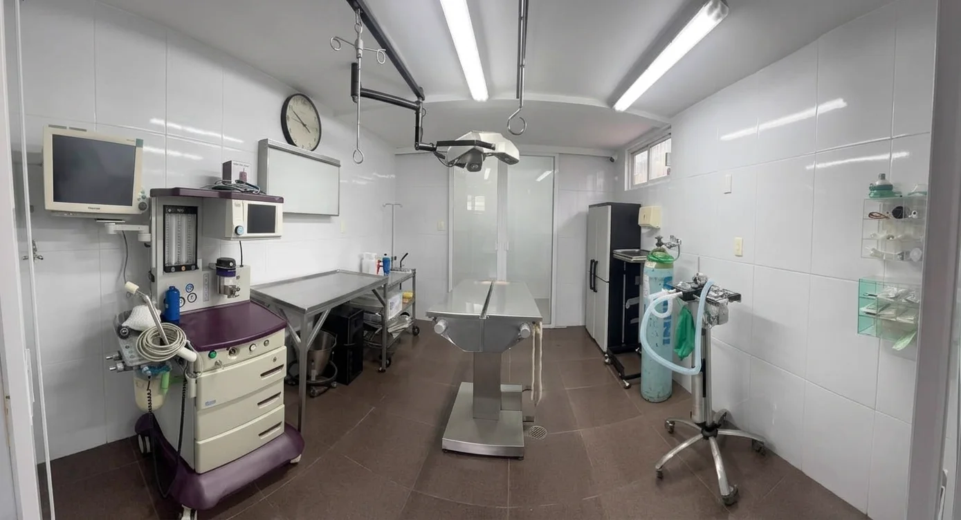 Hospital Veterinario Águilas — Quirófano