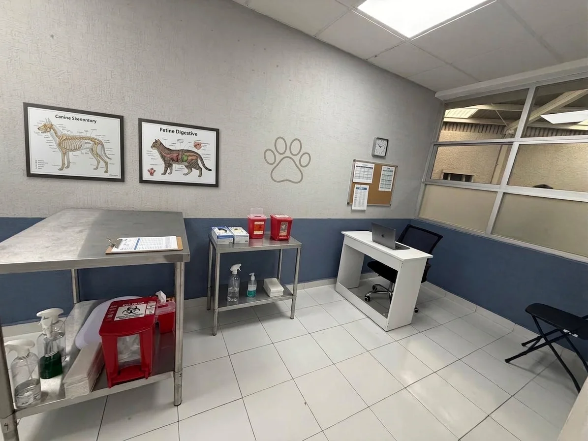 Hospital Veterinario Monarca — Consultorio