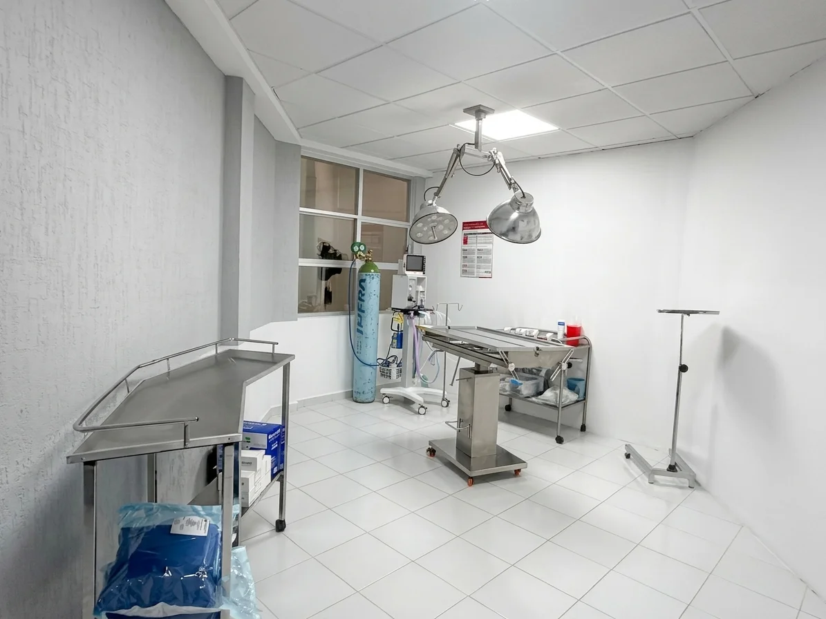 Hospital Veterinario Monarca — Quirófano