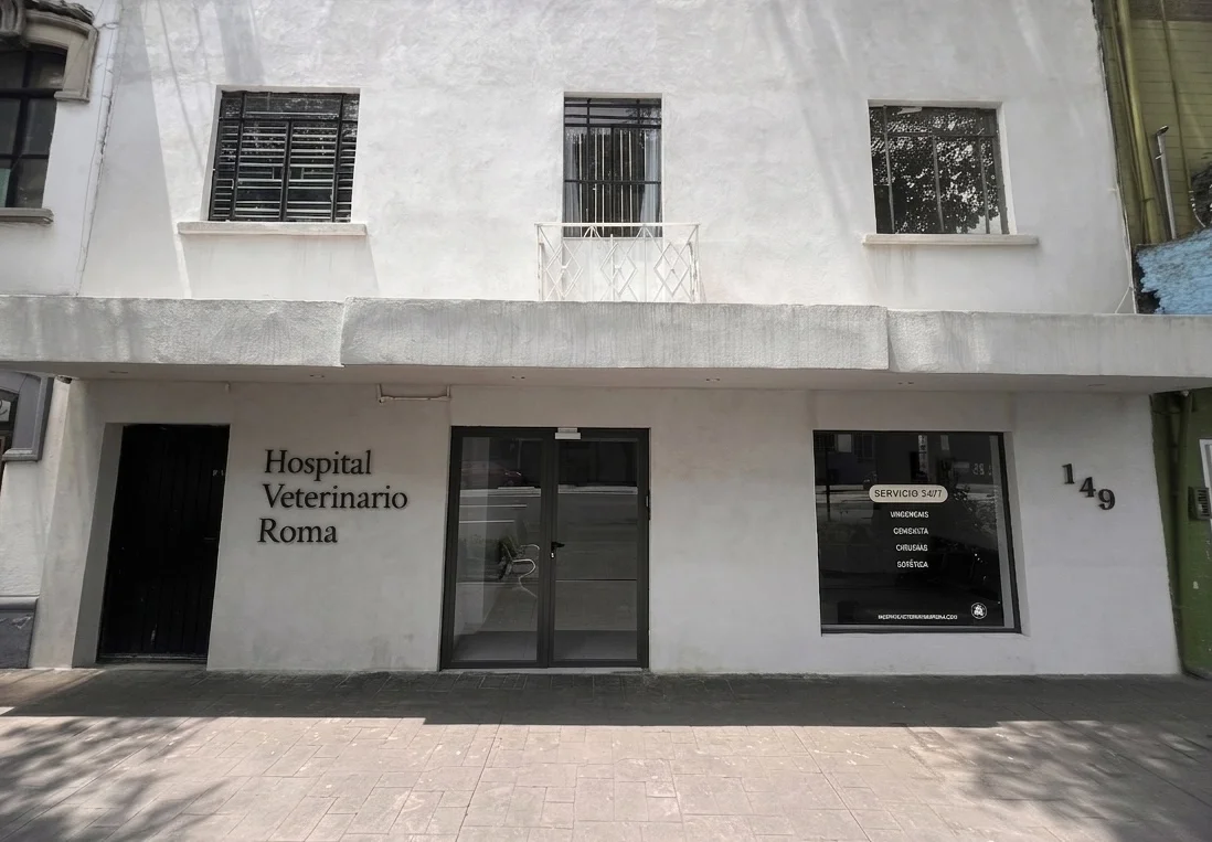 Hospital Veterinario Roma