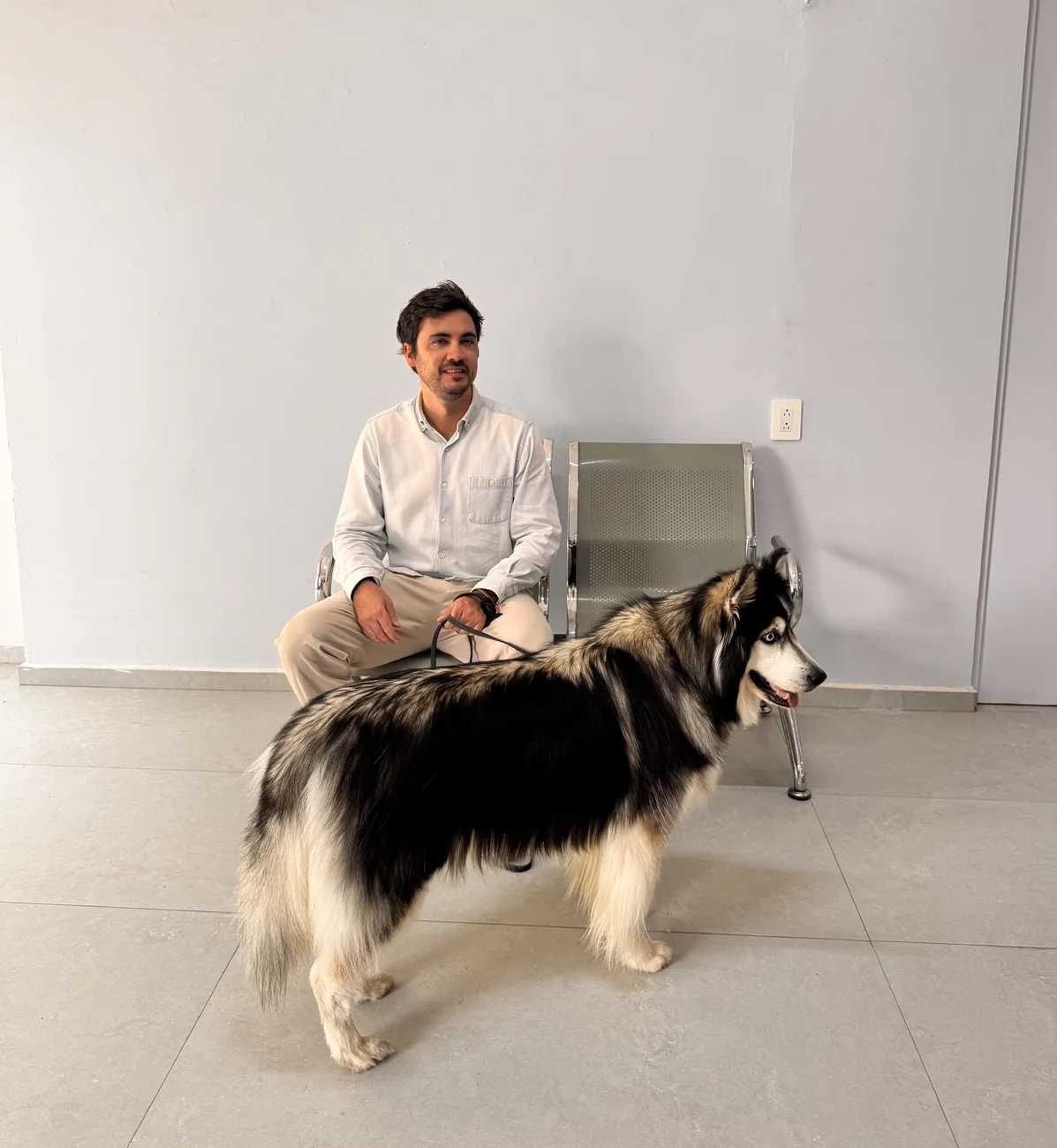 Hospital Veterinario Roma — Recepción