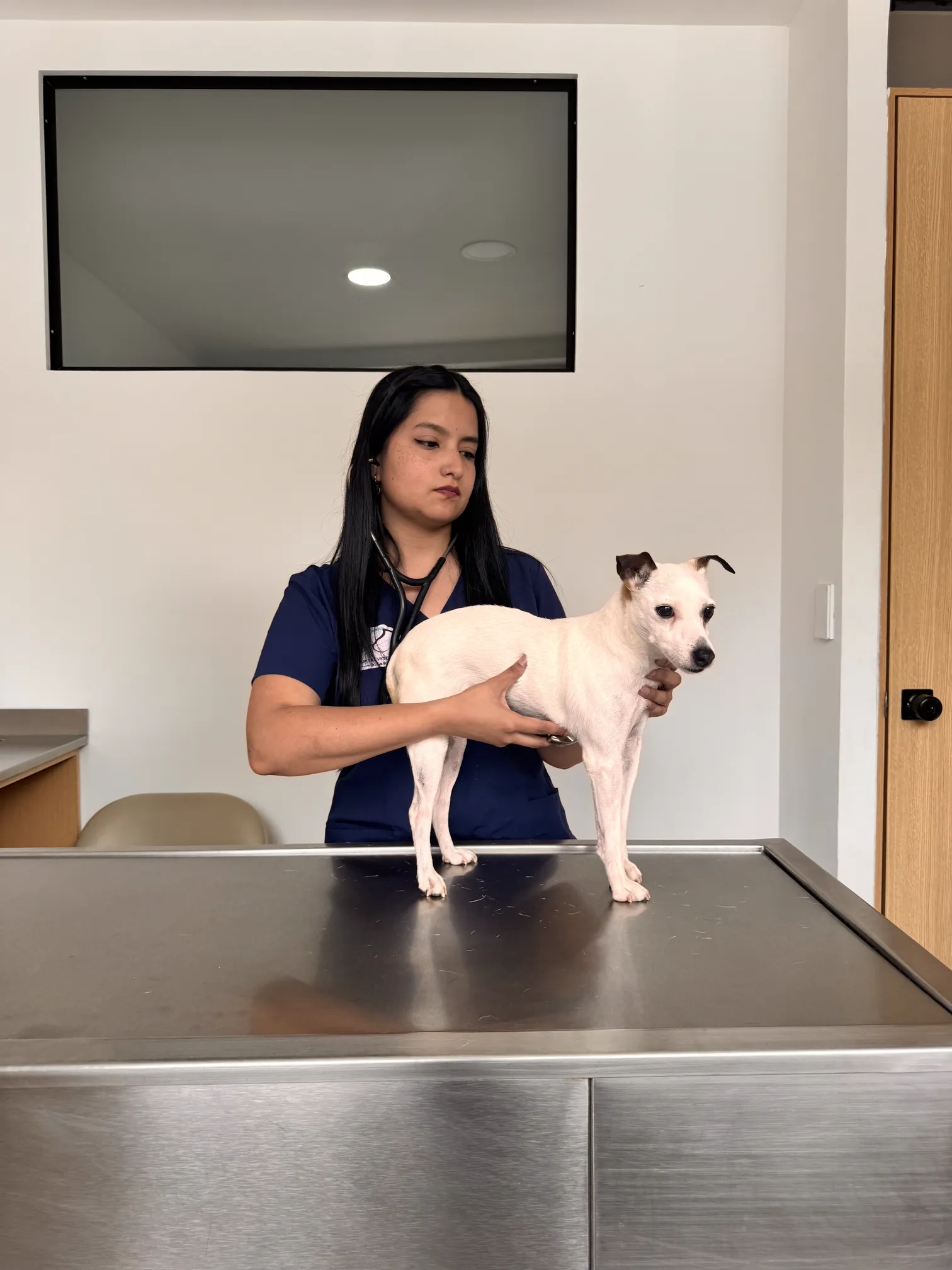 Hospital Veterinario Virreyes — Consultorio