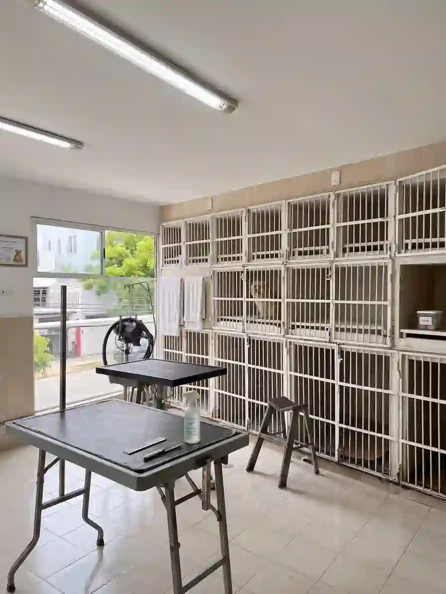Hospital Veterinario Virreyes — Hospitalización